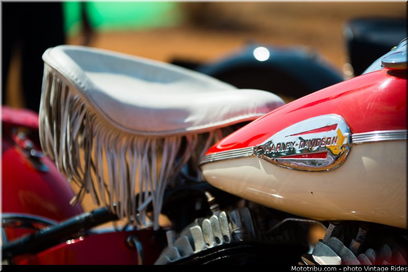 indian_bike_week_2014_0103