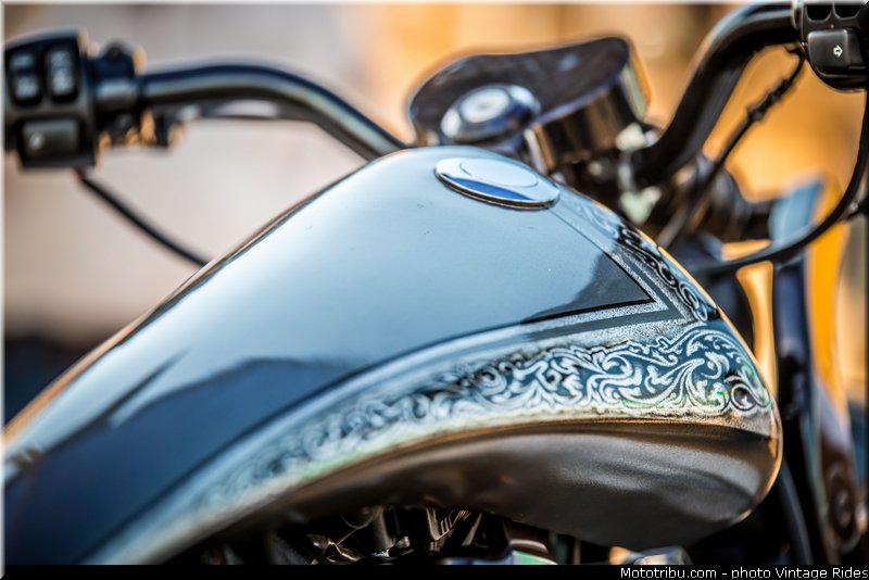 indian_bike_week_2014_0211