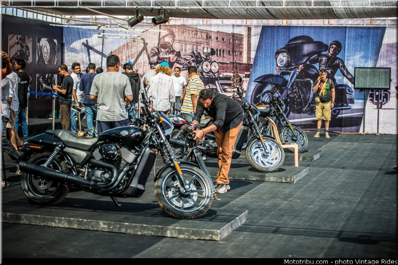 indian_bike_week_2014_0214