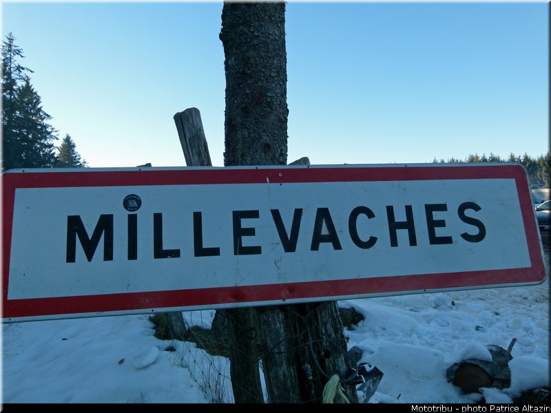 les_millevaches_2013_0122