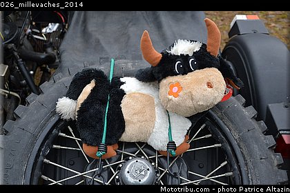 026_millevaches_2014.jpg