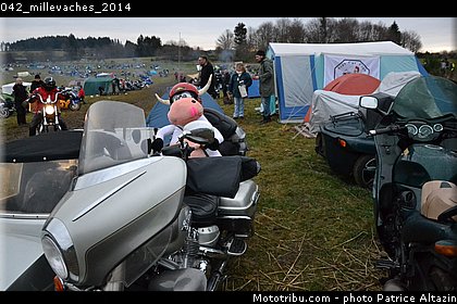 042_millevaches_2014.jpg