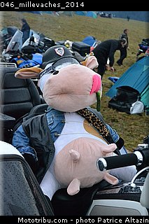 046_millevaches_2014.jpg