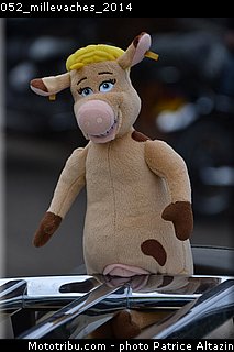 052_millevaches_2014.jpg