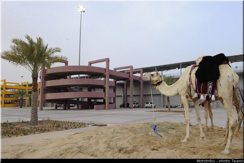 circuit_qatar_0102