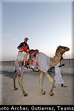 tixier_002_motocross_2013_qatar_losail.jpg