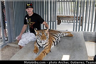 strijbos_016_motocross_2013_thailande_racha.jpg