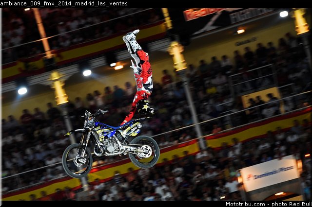 ambiance_009_fmx_2014_madrid_las_ventas