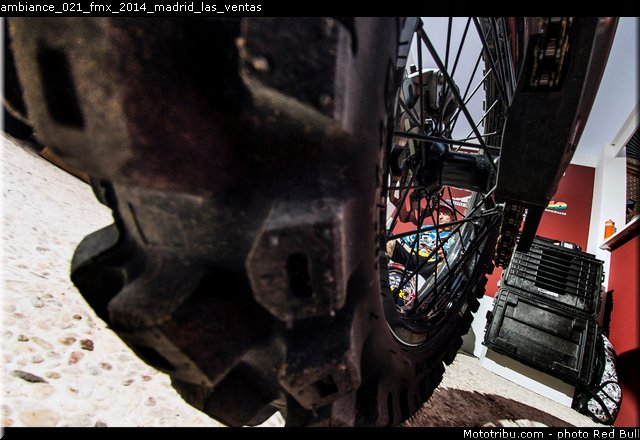 ambiance_021_fmx_2014_madrid_las_ventas