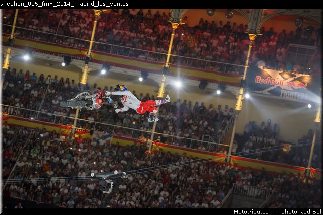 sheehan_005_fmx_2014_madrid_las_ventas
