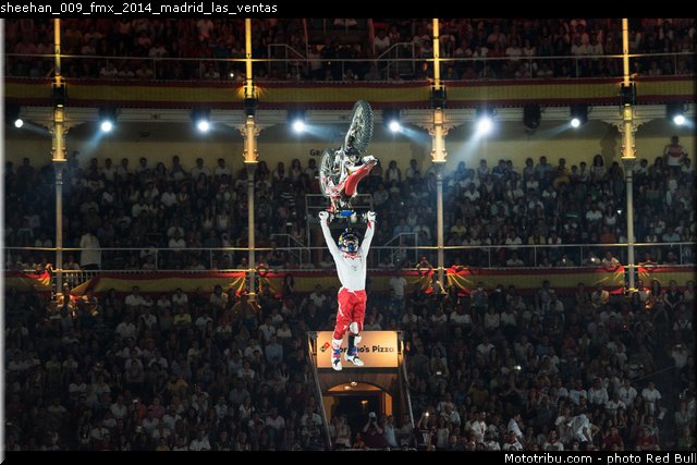 sheehan_009_fmx_2014_madrid_las_ventas