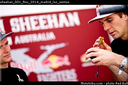 sheehan_001_fmx_2014_madrid_las_ventas.jpg
