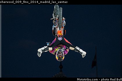 sherwood_009_fmx_2014_madrid_las_ventas.jpg