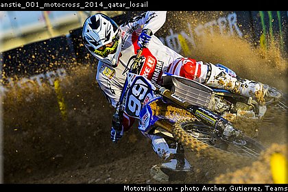 anstie_001_motocross_2014_qatar_losail.jpg