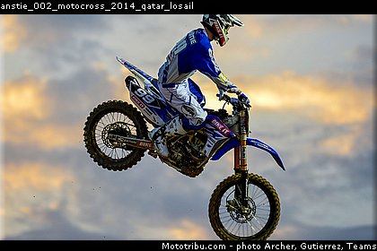anstie_002_motocross_2014_qatar_losail.jpg