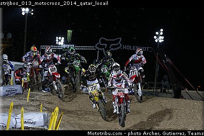 strijbos_013_motocross_2014_qatar_losail.jpg