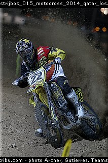 strijbos_015_motocross_2014_qatar_losail.jpg