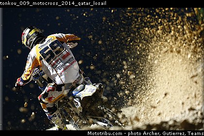 tonkov_009_motocross_2014_qatar_losail.jpg