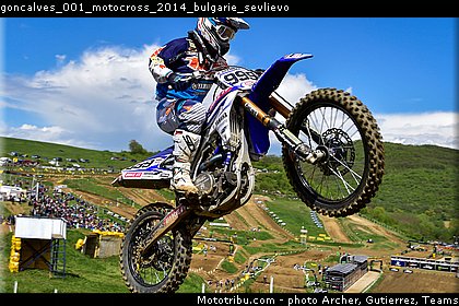 goncalves_001_motocross_2014_bulgarie_sevlievo.jpg