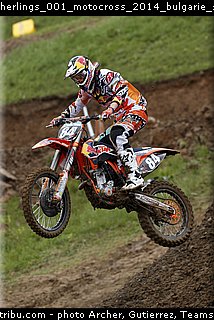 herlings_001_motocross_2014_bulgarie_sevlievo.jpg