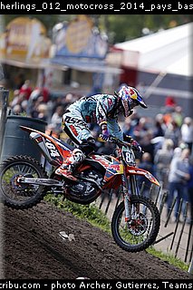 herlings_012_motocross_2014_pays_bas_valkenswaard.jpg