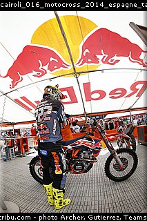 cairoli_016_motocross_2014_espagne_talavera_de_la_reina.jpg