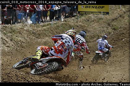 cairoli_018_motocross_2014_espagne_talavera_de_la_reina.jpg