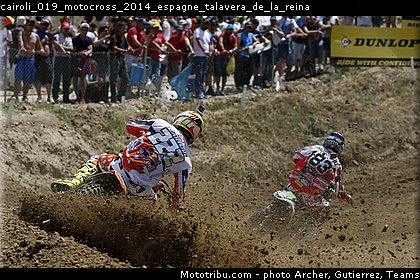 cairoli_019_motocross_2014_espagne_talavera_de_la_reina.jpg