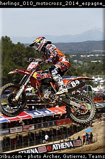herlings_010_motocross_2014_espagne_talavera_de_la_reina.jpg