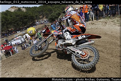 herlings_012_motocross_2014_espagne_talavera_de_la_reina.jpg
