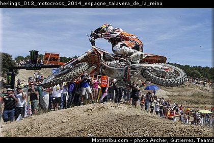 herlings_013_motocross_2014_espagne_talavera_de_la_reina.jpg