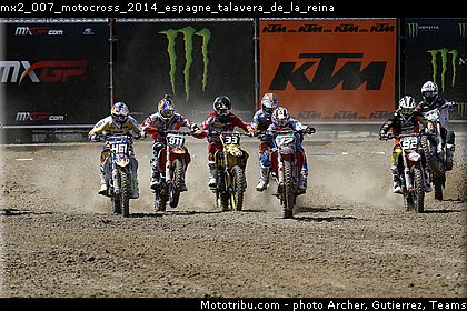 mx2_007_motocross_2014_espagne_talavera_de_la_reina.jpg