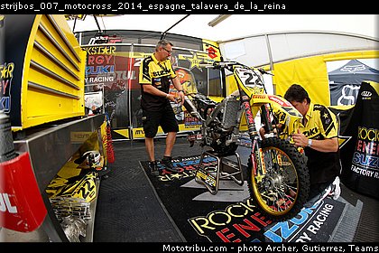 strijbos_007_motocross_2014_espagne_talavera_de_la_reina.jpg