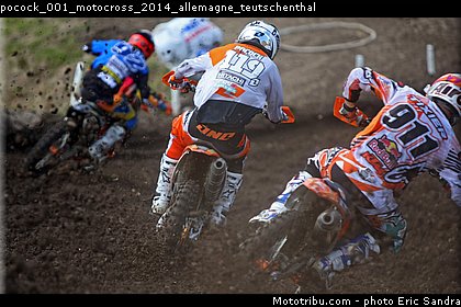 pocock_001_motocross_2014_allemagne_teutschenthal.jpg
