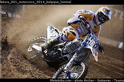 febvre_001_motocross_2014_belgique_lommel.jpg
