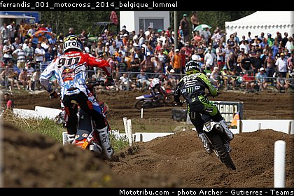 ferrandis_001_motocross_2014_belgique_lommel.jpg