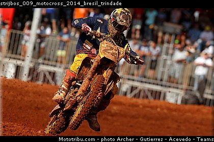 strijbos_009_motocross_2014_bresil_trindade.jpg