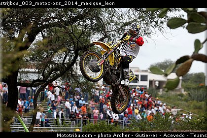 strijbos_003_motocross_2014_mexique_leon.jpg