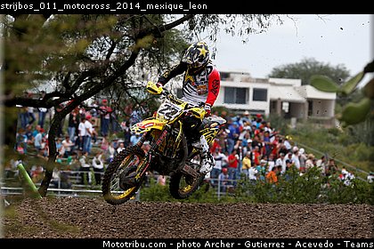 strijbos_011_motocross_2014_mexique_leon.jpg