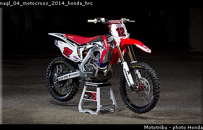 nagl_04_motocross_2014_honda_hrc.jpg