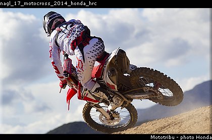 nagl_17_motocross_2014_honda_hrc.jpg