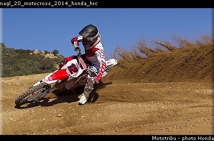 nagl_20_motocross_2014_honda_hrc.jpg