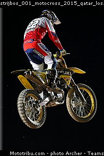 strijbos_001_motocross_2015_qatar_losail.jpg