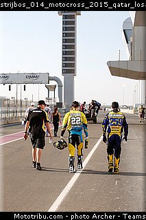 strijbos_014_motocross_2015_qatar_losail.jpg