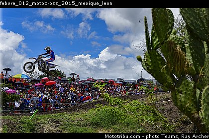 febvre_012_motocross_2015_mexique_leon.jpg