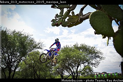febvre_013_motocross_2015_mexique_leon.jpg