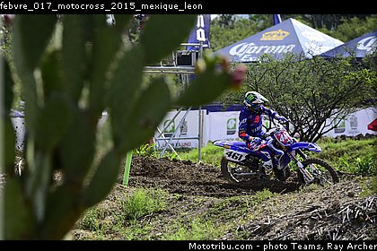 febvre_017_motocross_2015_mexique_leon.jpg