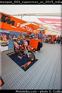 musquin_003_supercross_us_2015_indianapolis.jpg