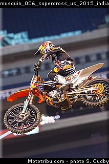 musquin_006_supercross_us_2015_indianapolis.jpg