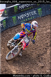 bisceglia_008_supercross_us_2015_las_vegas.jpg